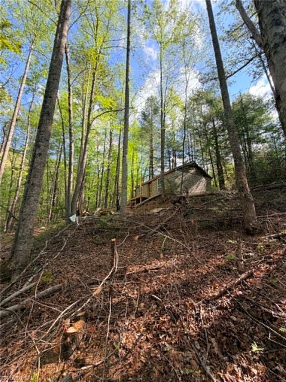 Tbd Shoe Road Millers Creek, NC 28651 - Photo 13 of 18