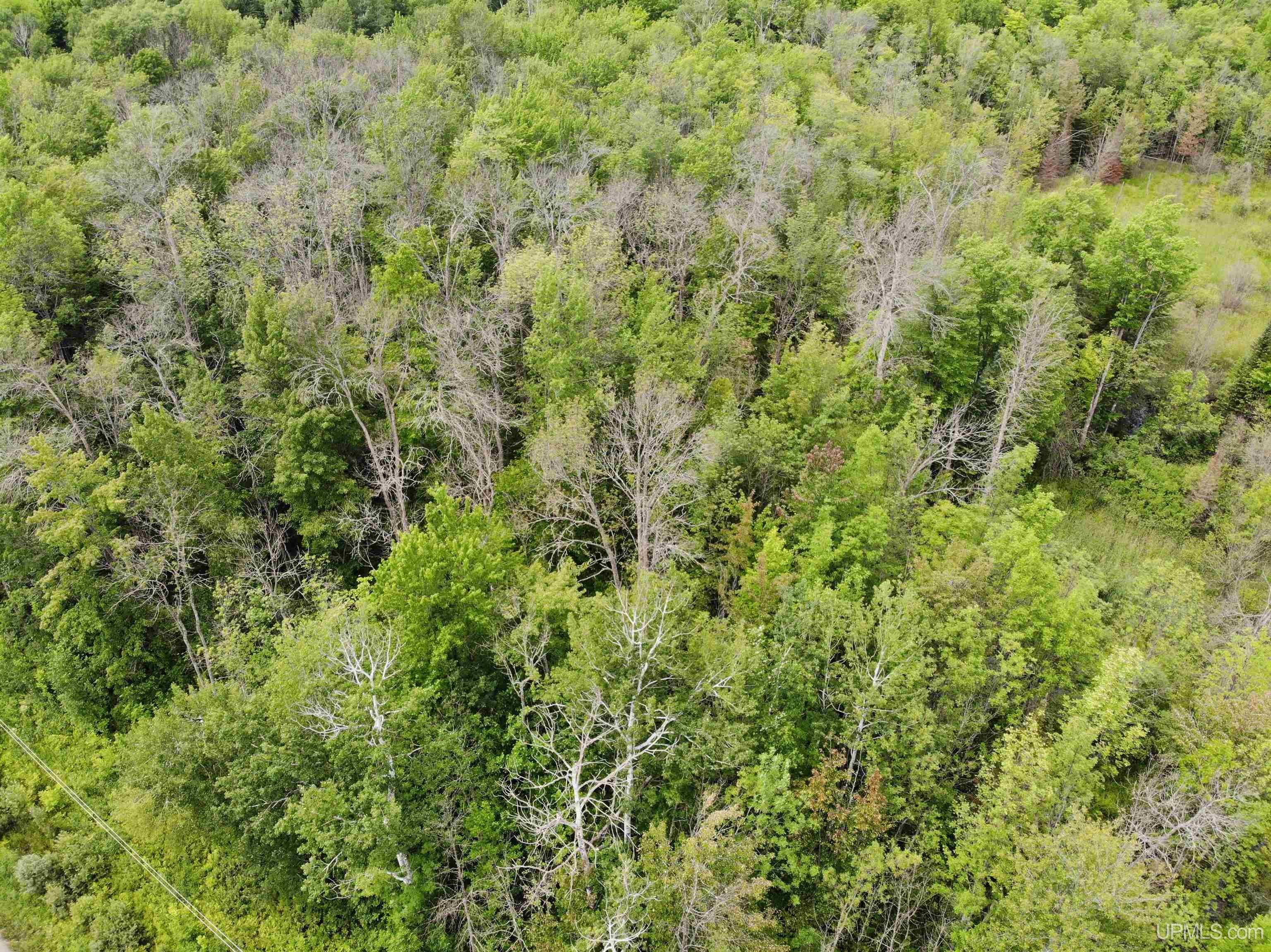 Tbd40 Karschney Road South Lanse, MI 49946 - Photo 12 of 18 Gallery Image 12