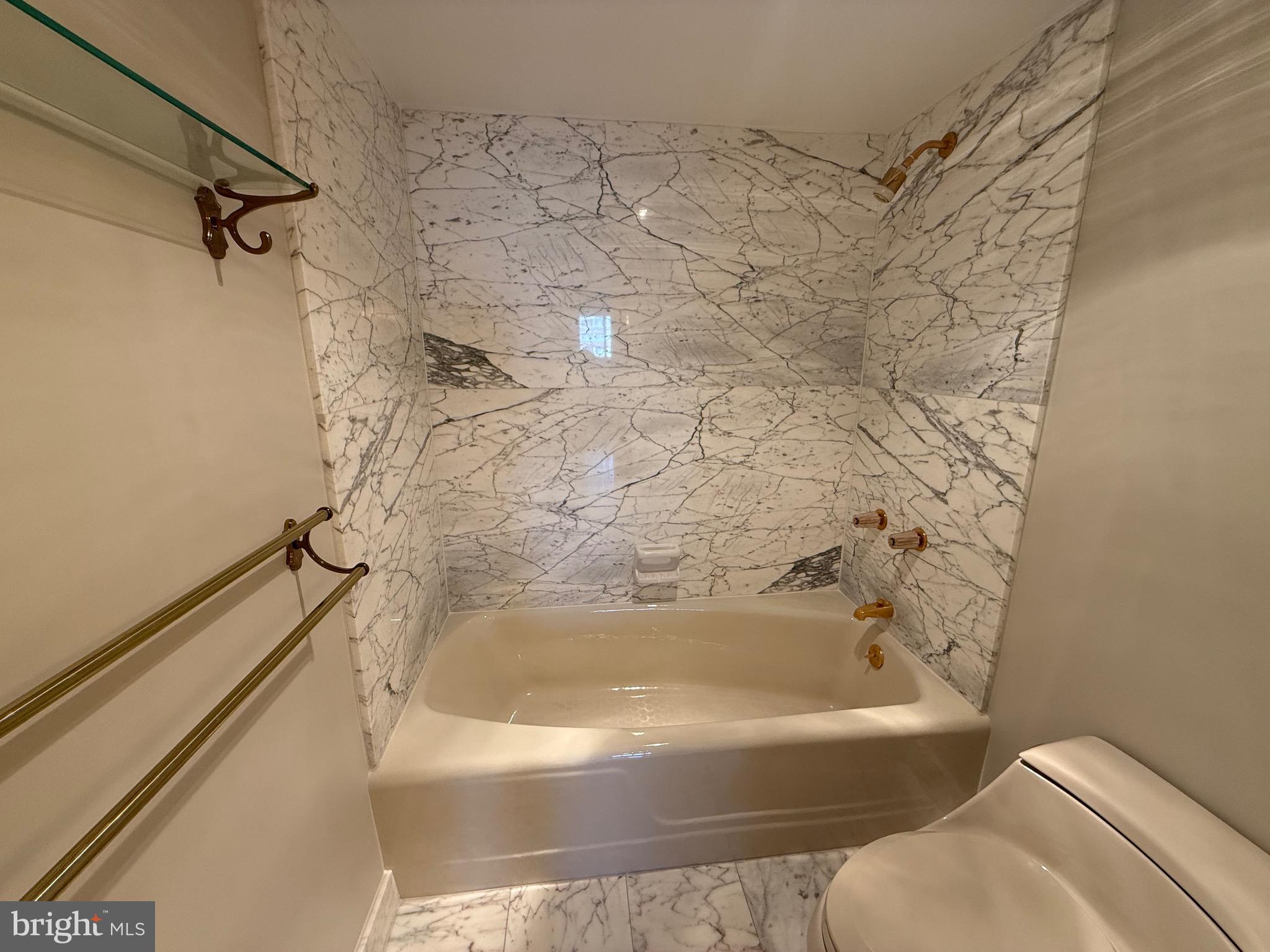 1101 South Arlington Ridge Road, Unit 214 Arlington, VA 22202 - Photo 17 of 41 a bathroom with a bathtub and a shower