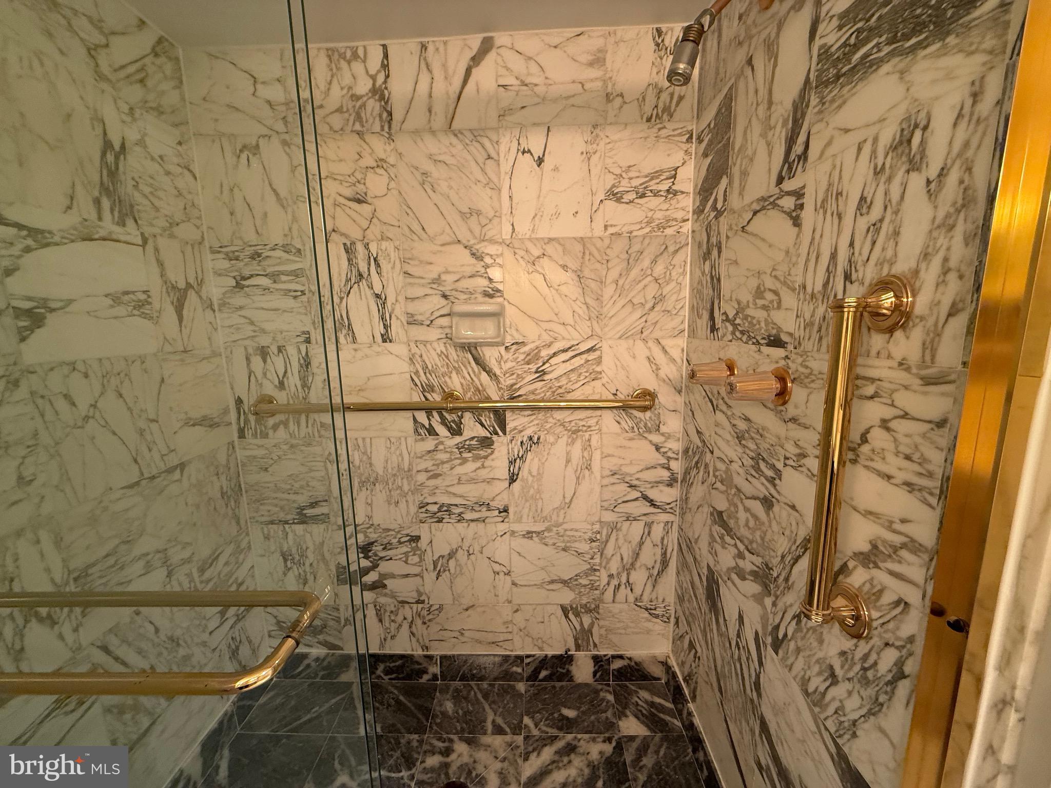 1101 South Arlington Ridge Road, Unit 214 Arlington, VA 22202 - Photo 20 of 41 a bathroom with a shower