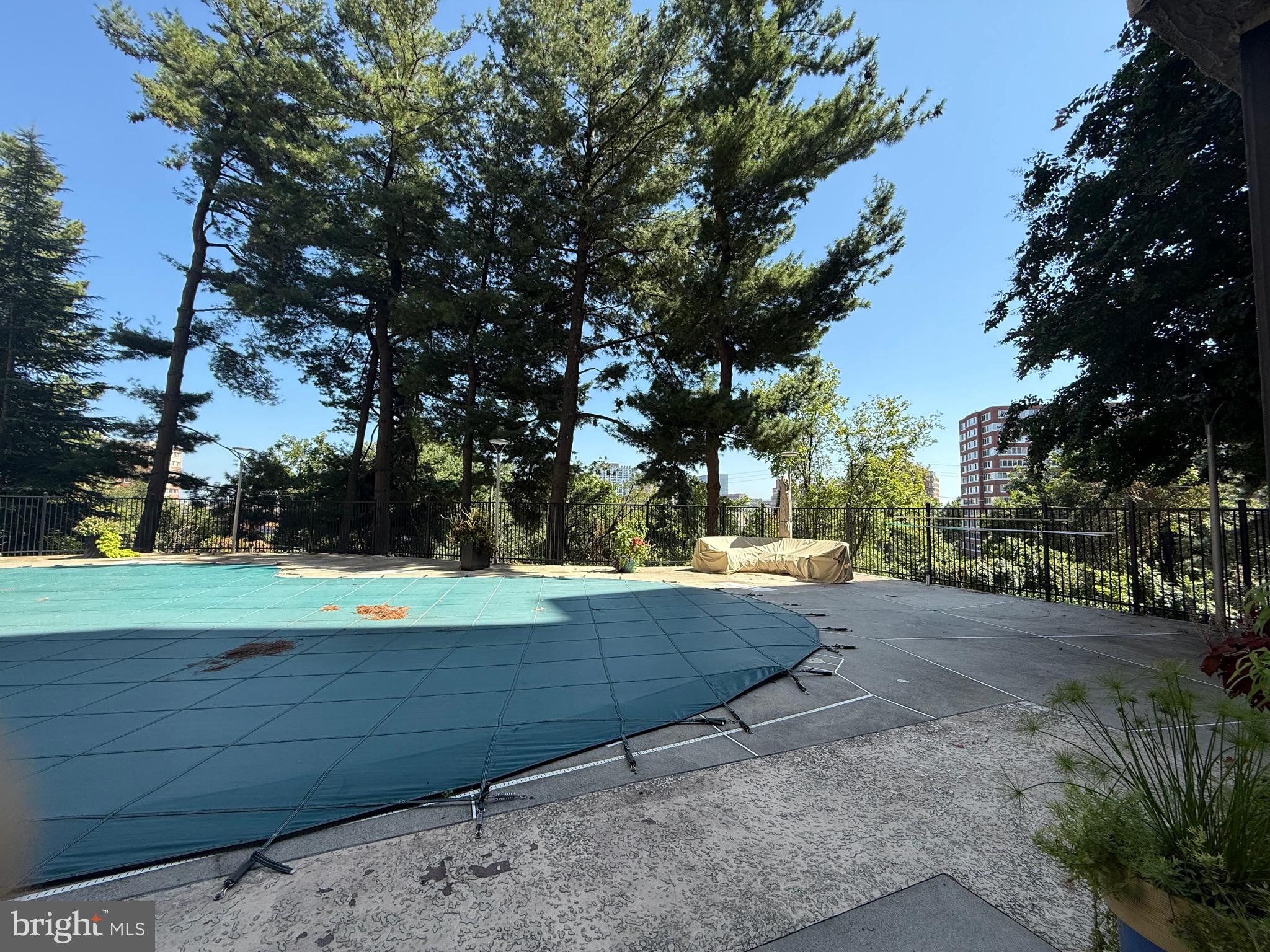 1101 South Arlington Ridge Road, Unit 214 Arlington, VA 22202 - Photo 40 of 41 a view of a yard with an tree
