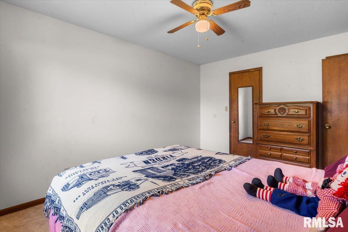 518 North Springfield Street Virden, IL 62690 - Photo 17 of 25