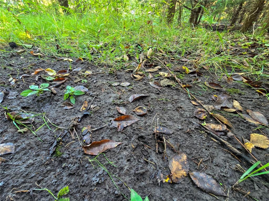 H Avenue White City, KS 66872 - Photo 22 of 48