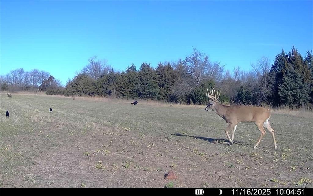 H Avenue White City, KS 66872 - Photo 46 of 48