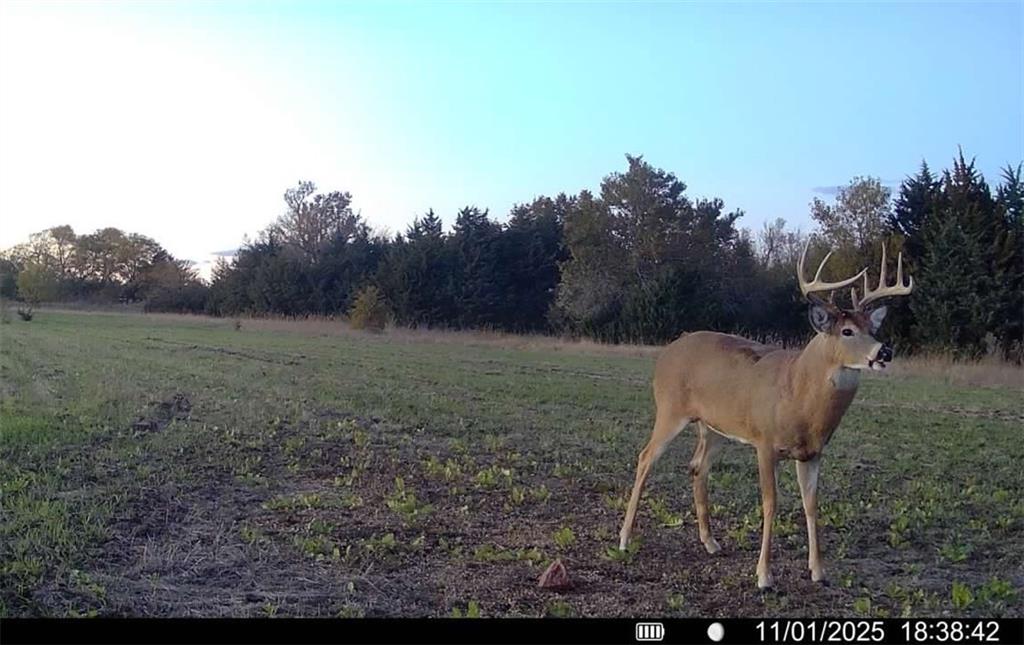 H Avenue White City, KS 66872 - Photo 47 of 48