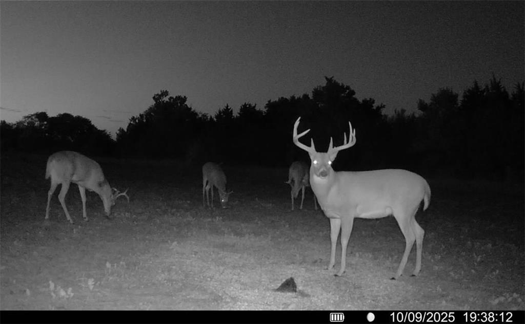 H Avenue White City, KS 66872 - Photo 48 of 48