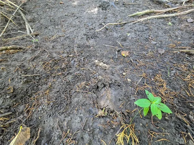 $250,000 | H Avenue, White City, KS 66872