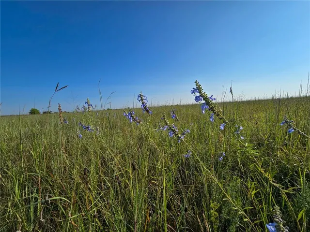 $250,000 | H Avenue, White City, KS 66872