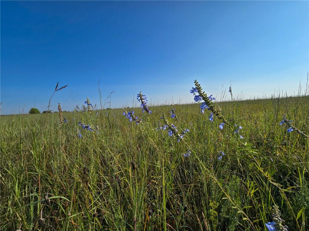 H Avenue White City, KS 66872 - Photo 7 of 48