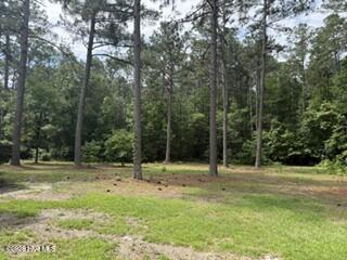 331 Rooty Branch Road Vass, NC 28394 - Photo 41 of 42