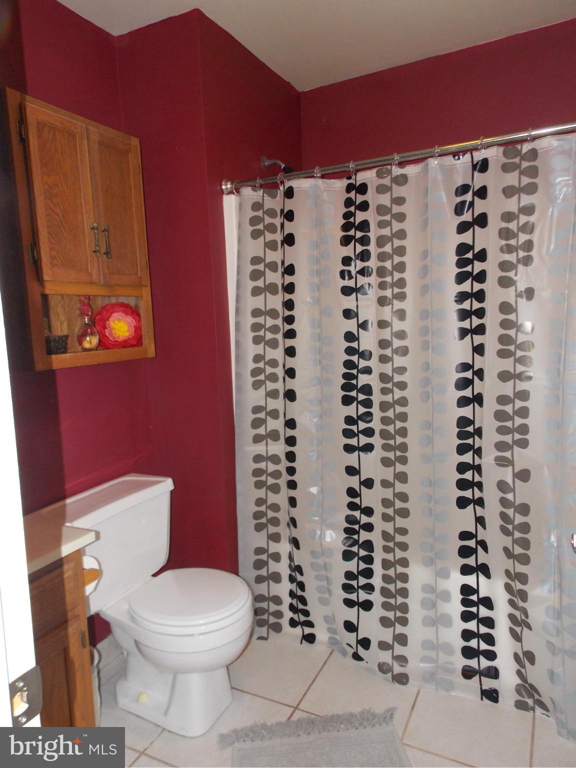 10 Ridgeview Drive Westminster, MD 21157 - Photo 12 of 17 Bath (Master)