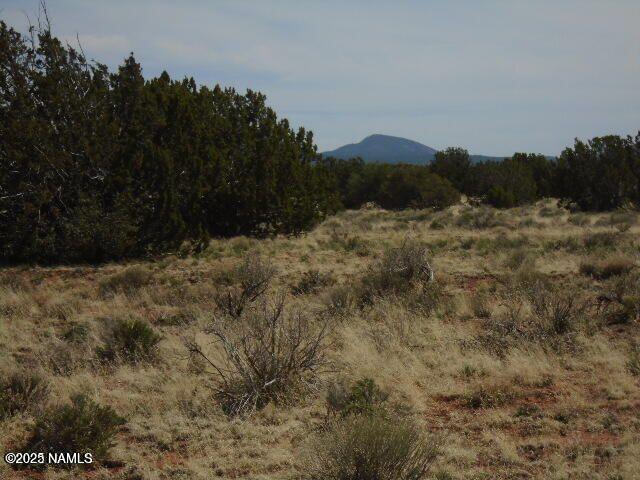3435 East Valencia Road Williams, AZ 86046 - Photo 6 of 18 Valencia (2)
