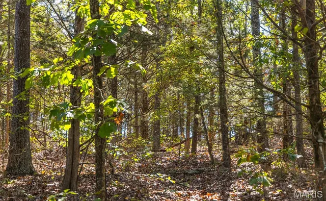 $619,700 | 5225 Engledow Road, De Soto, MO 63020