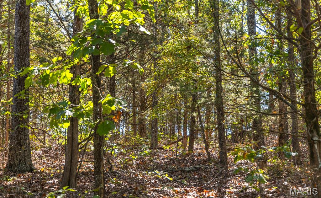 5225 Engledow Road De Soto, MO 63020 - Photo 15 of 50