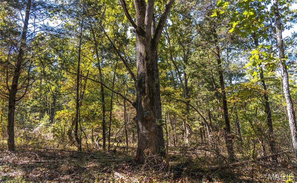 5225 Engledow Road De Soto, MO 63020 - Photo 16 of 50