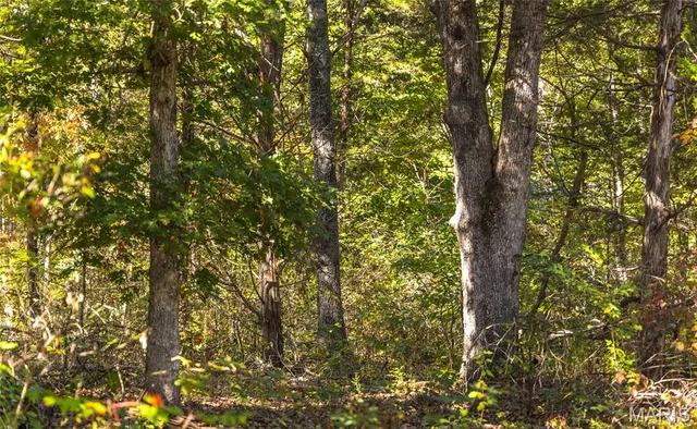 $619,700 | 5225 Engledow Road, De Soto, MO 63020