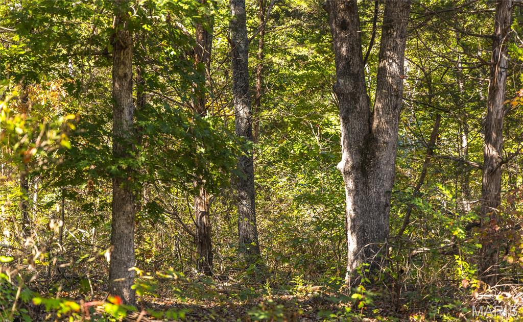 5225 Engledow Road De Soto, MO 63020 - Photo 17 of 50