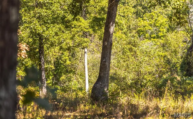 $619,700 | 5225 Engledow Road, De Soto, MO 63020