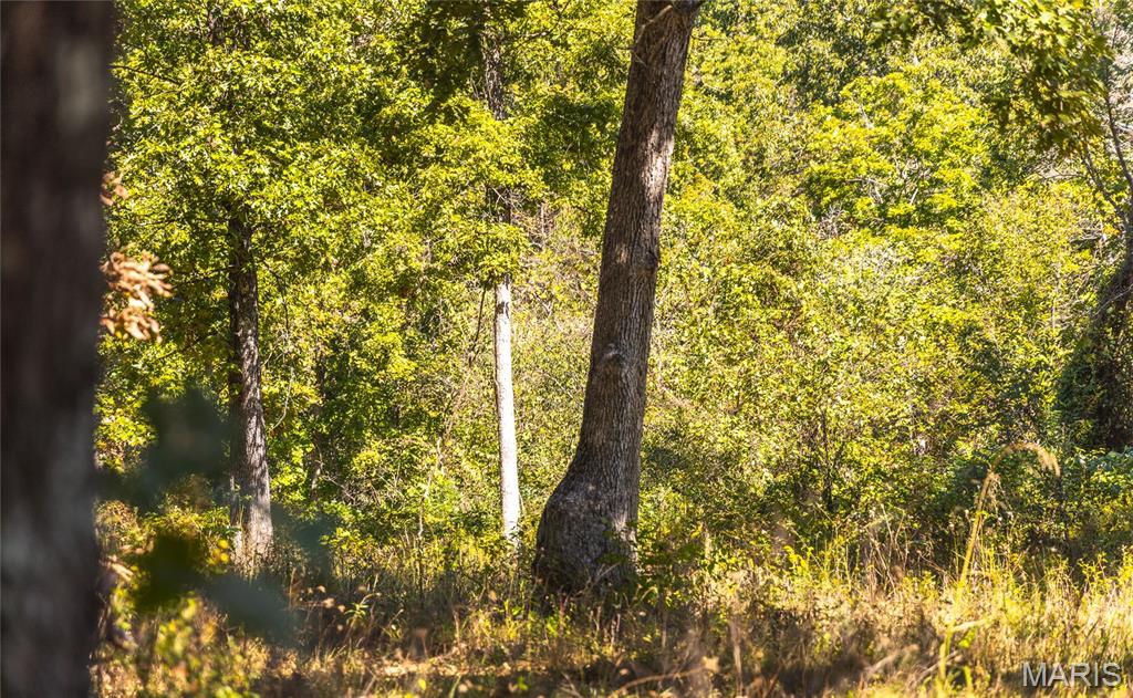 5225 Engledow Road De Soto, MO 63020 - Photo 18 of 50