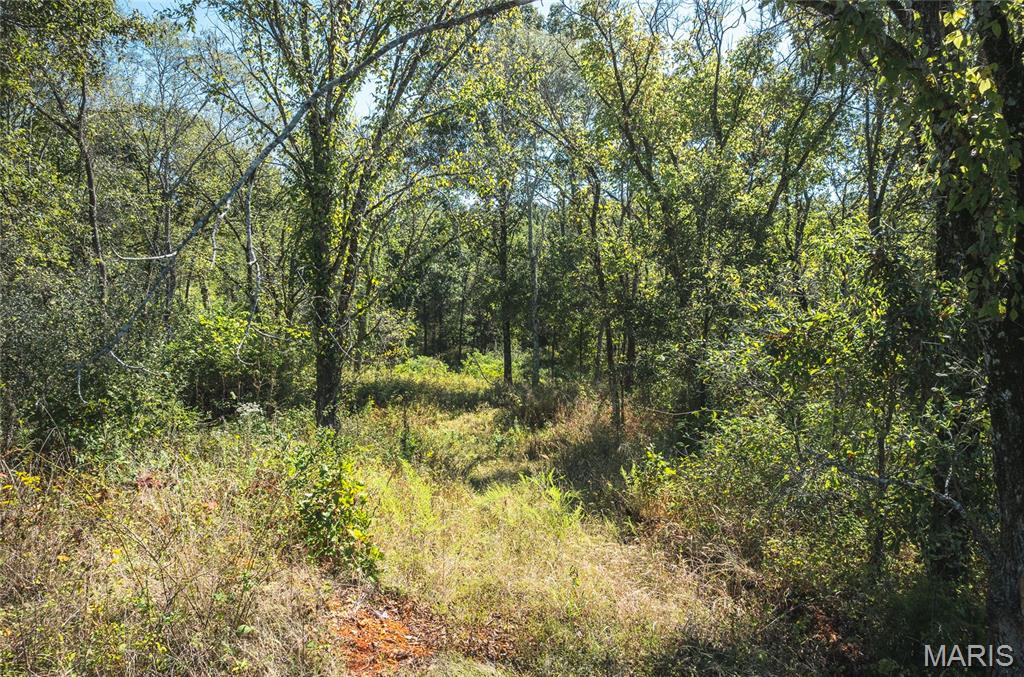 5225 Engledow Road De Soto, MO 63020 - Photo 37 of 50