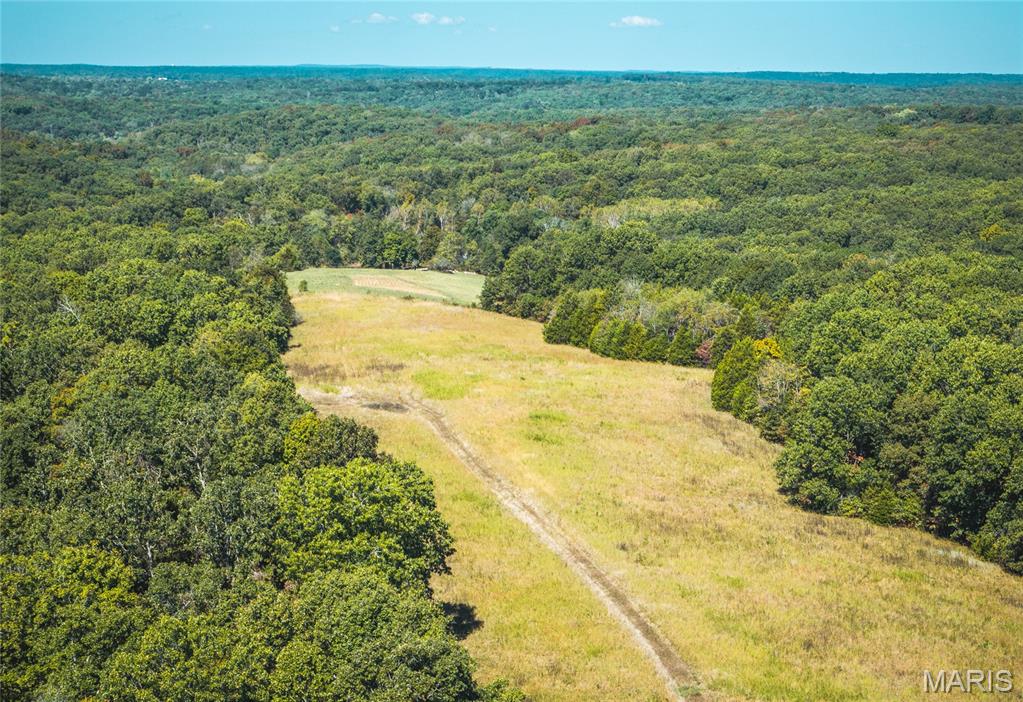 5225 Engledow Road De Soto, MO 63020 - Photo 4 of 50