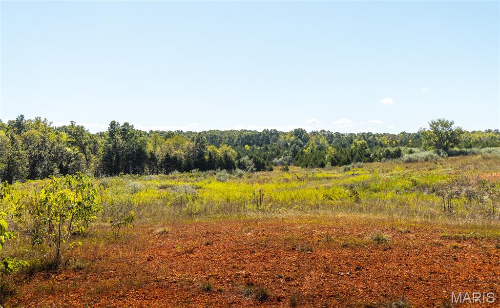 5225 Engledow Road De Soto, MO 63020 - Photo 43 of 50