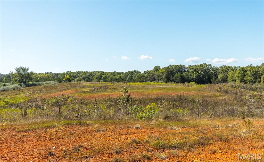 5225 Engledow Road De Soto, MO 63020 - Photo 44 of 50