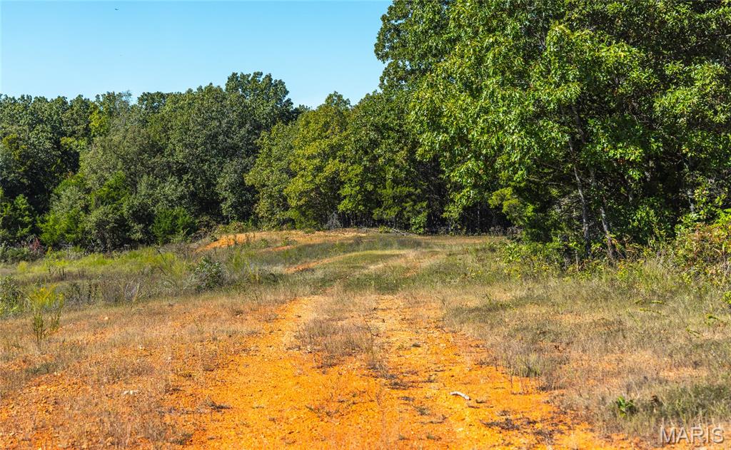 5225 Engledow Road De Soto, MO 63020 - Photo 45 of 50