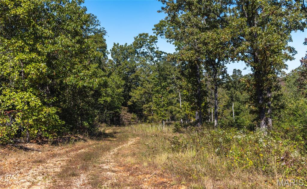 5225 Engledow Road De Soto, MO 63020 - Photo 47 of 50