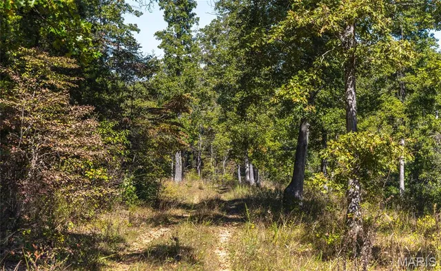 $619,700 | 5225 Engledow Road, De Soto, MO 63020