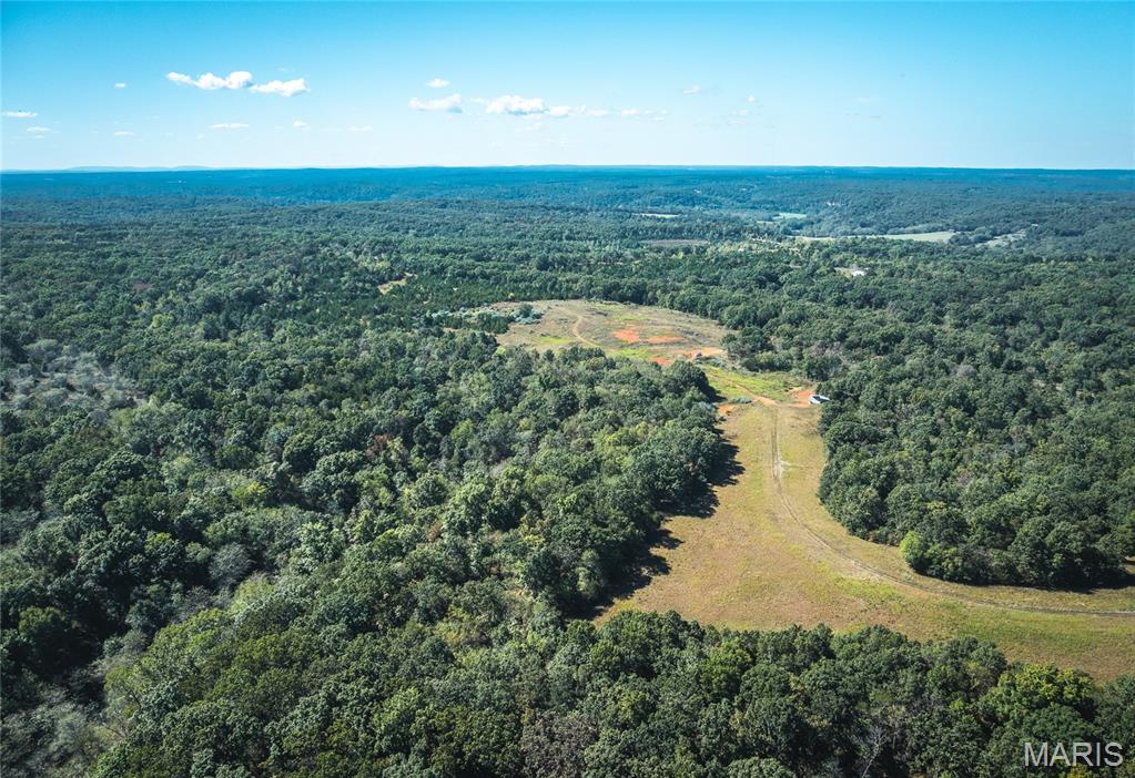 5225 Engledow Road De Soto, MO 63020 - Photo 6 of 50