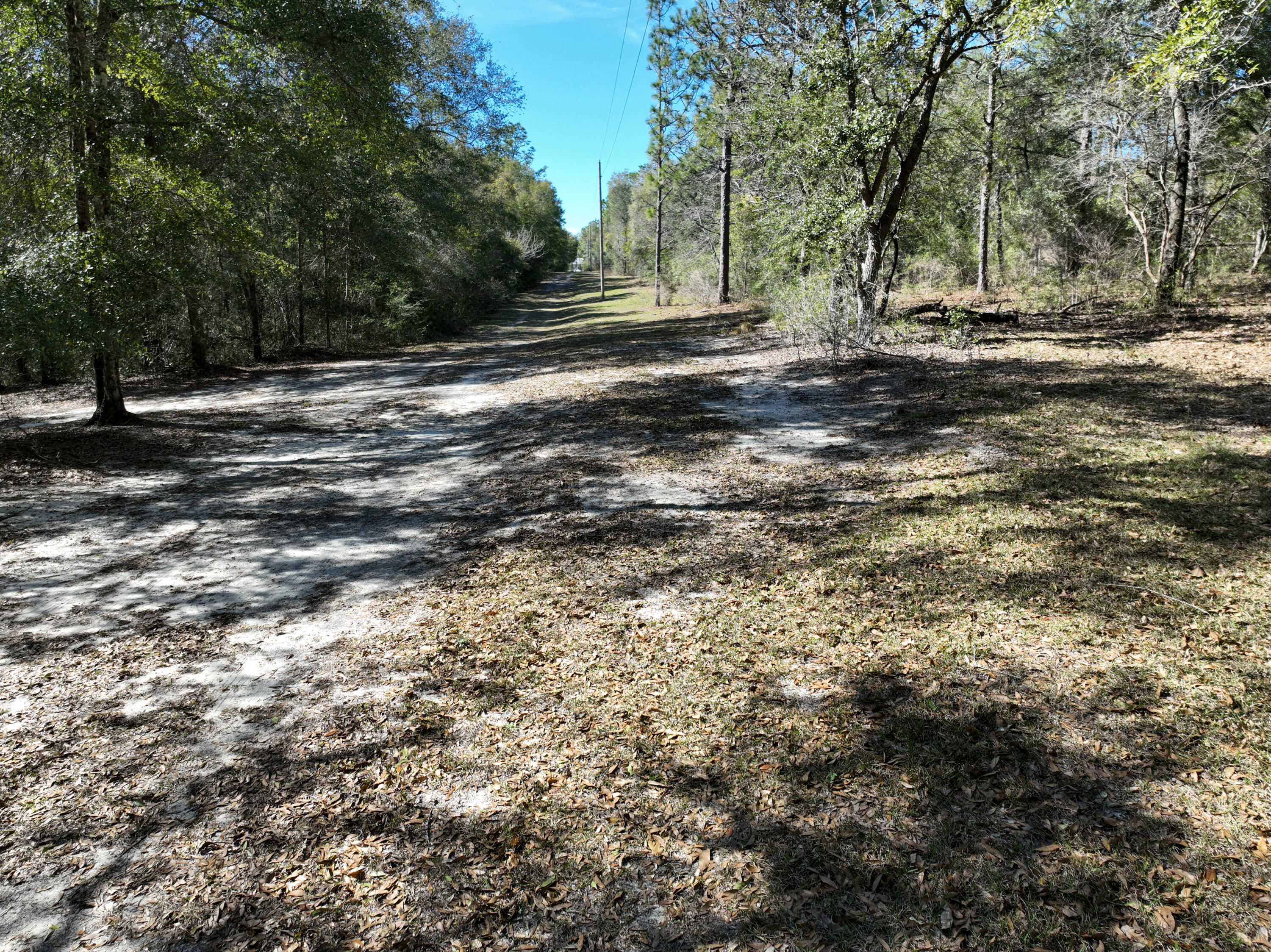 299 Holley King Road DeFuniak Springs, FL 32433 - Photo 22 of 40 a view of a yard with a tree