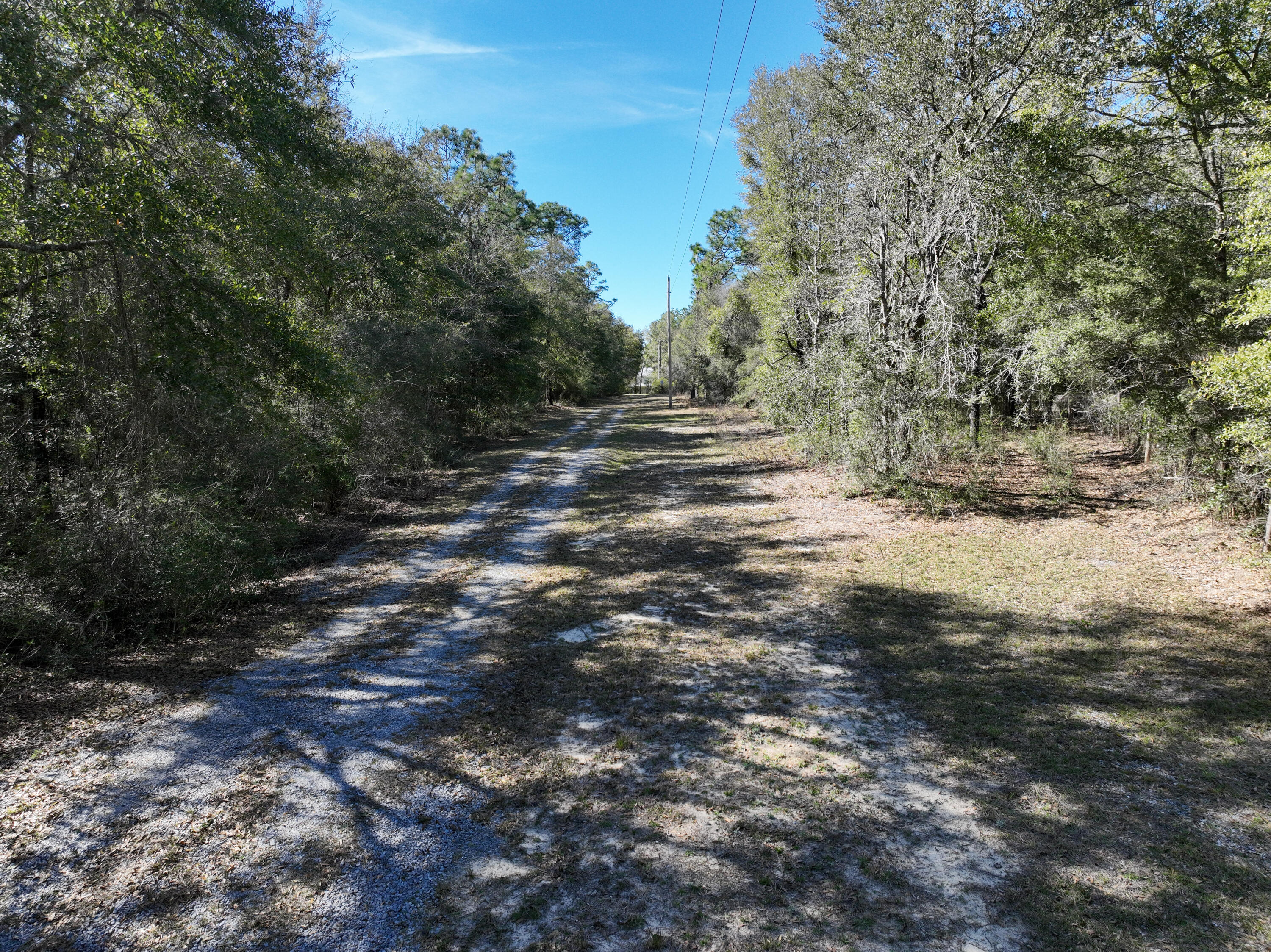 299 Holley King Road DeFuniak Springs, FL 32433 - Photo 23 of 40 a view of dirt yard with a large tree