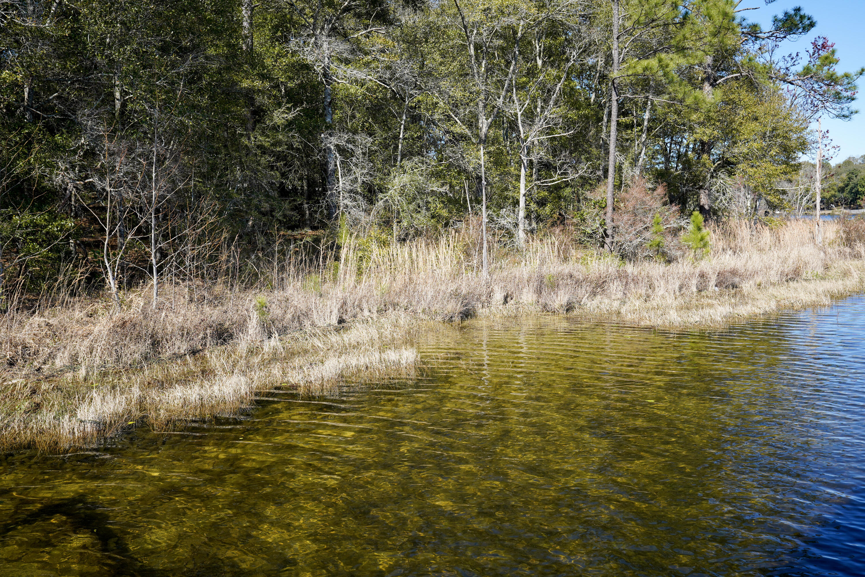 299 Holley King Road DeFuniak Springs, FL 32433 - Photo 31 of 40 a view of ocean view