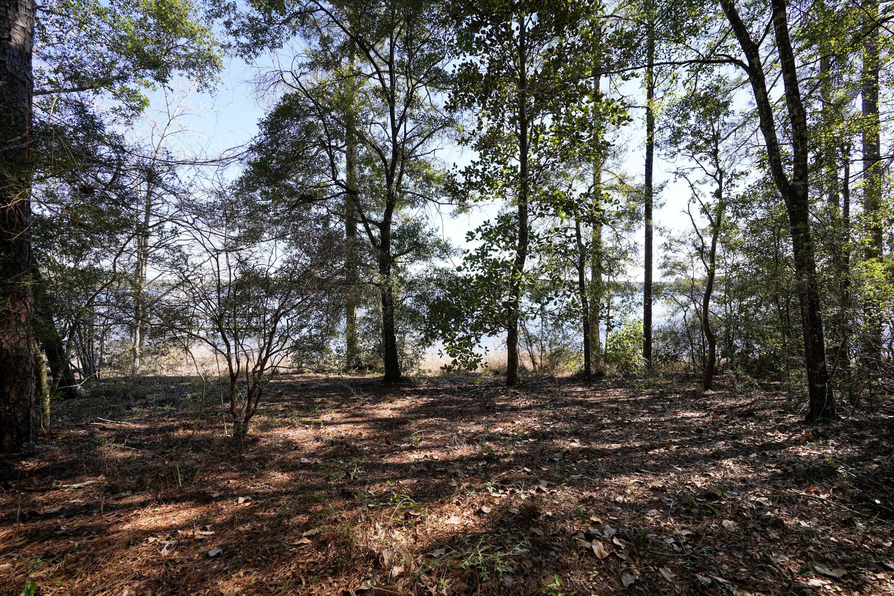 299 Holley King Road DeFuniak Springs, FL 32433 - Photo 36 of 40 a backyard of a house with lots of green space