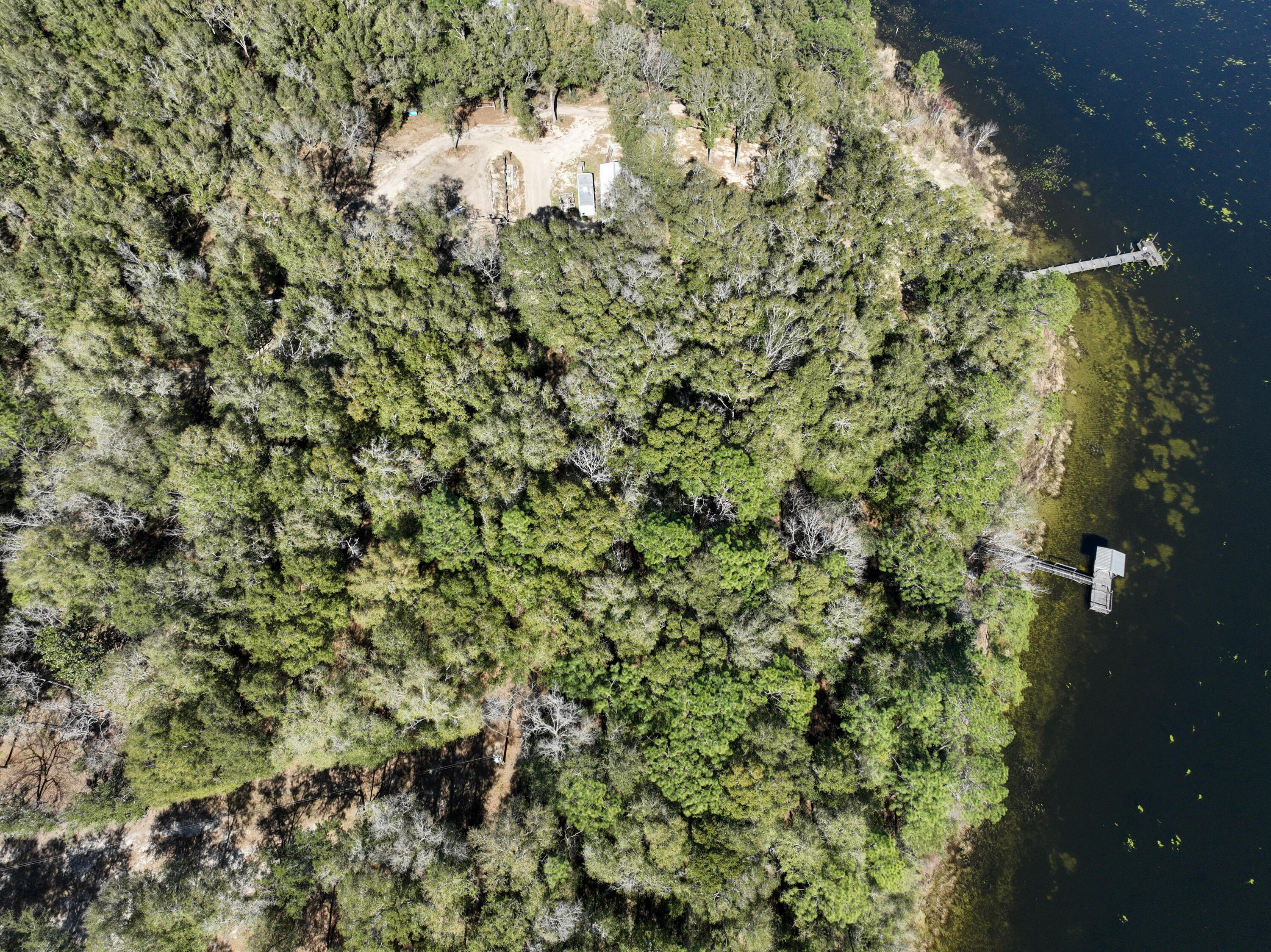 299 Holley King Road DeFuniak Springs, FL 32433 - Photo 8 of 40 a view of a yard