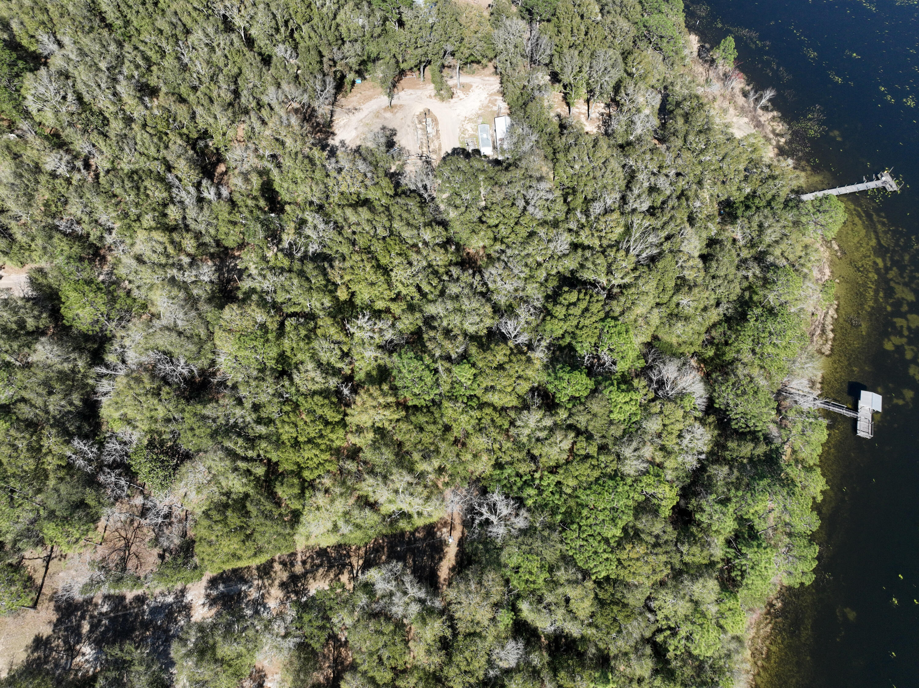 299 Holley King Road DeFuniak Springs, FL 32433 - Photo 9 of 40