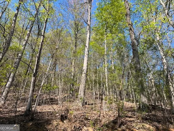 $29,000 | Lot 2 Grandview Drive, Hayesville, NC 28904