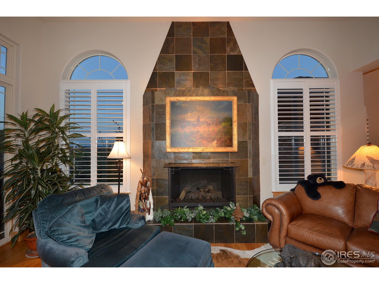 7036 Ruidoso Drive Windsor, CO 80550 - Photo 8 of 25
