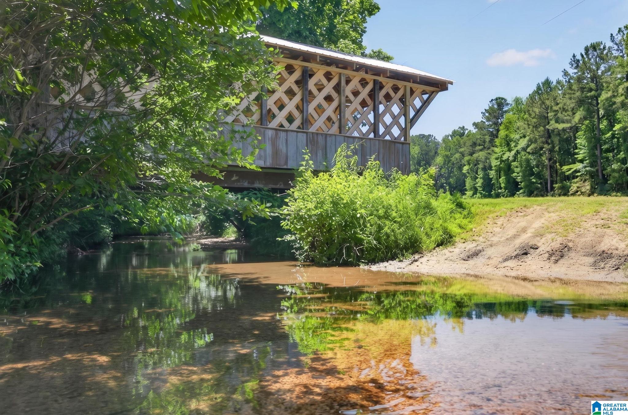 3463 County Road 3 Delta, AL 36258 - Photo 100 of 100