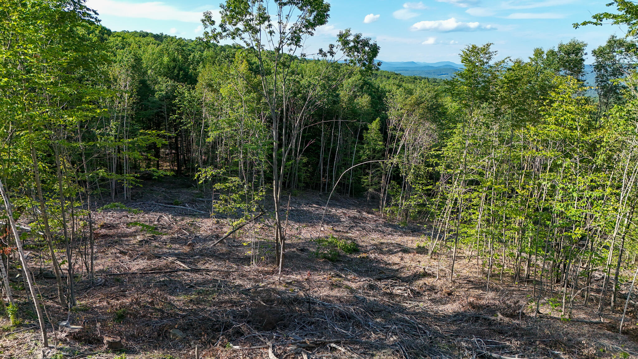 54.62 McAlister Road Buckfield, ME 04220 - Photo 70 of 80 dji_fly_20240718_172922_0135_17213511365