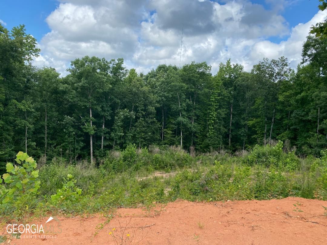 2656 Alexis Way Monroe, GA 30656 - Photo 1 of 1 Gallery Image 1