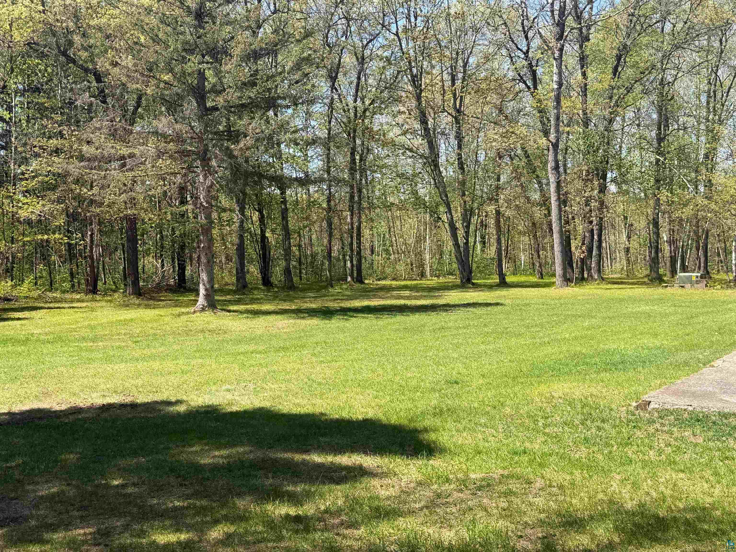 12235 East Crooked Lake Road Gordon, WI 54838 - Photo 5 of 48 Expansive green lawn surrounded by mature trees, offering a natural setting