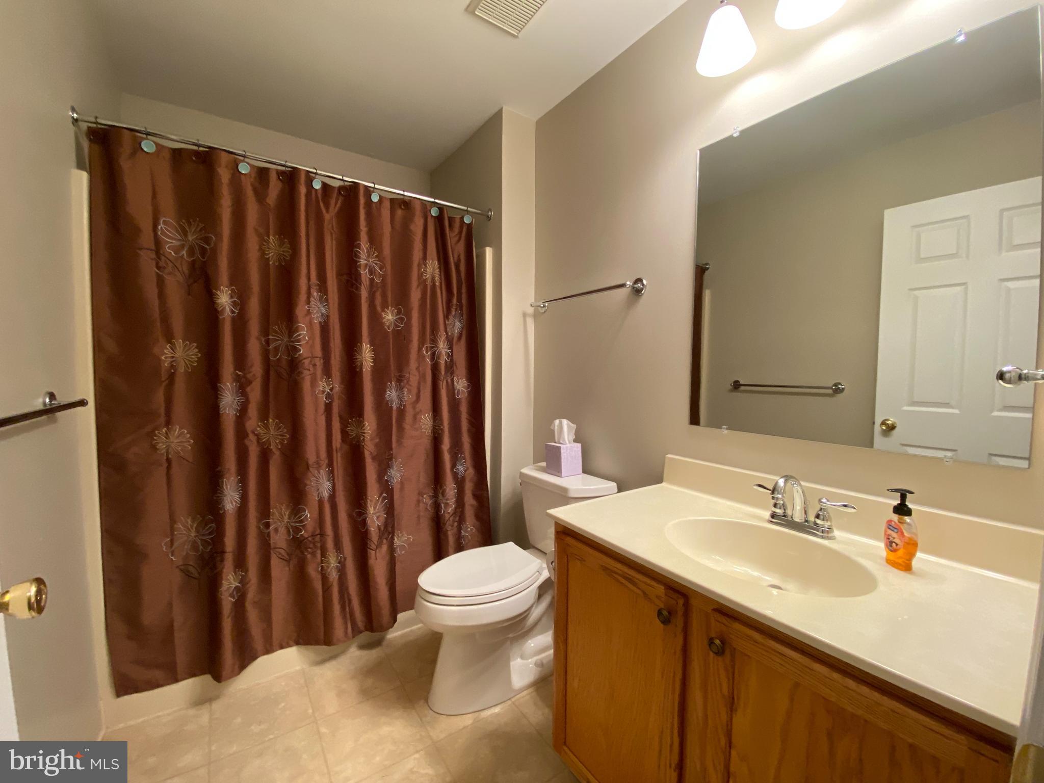 14 Mailly Drive Townsend, DE 19734 - Photo 17 of 22 a bathroom with a sink a toilet a mirror and shower curtain