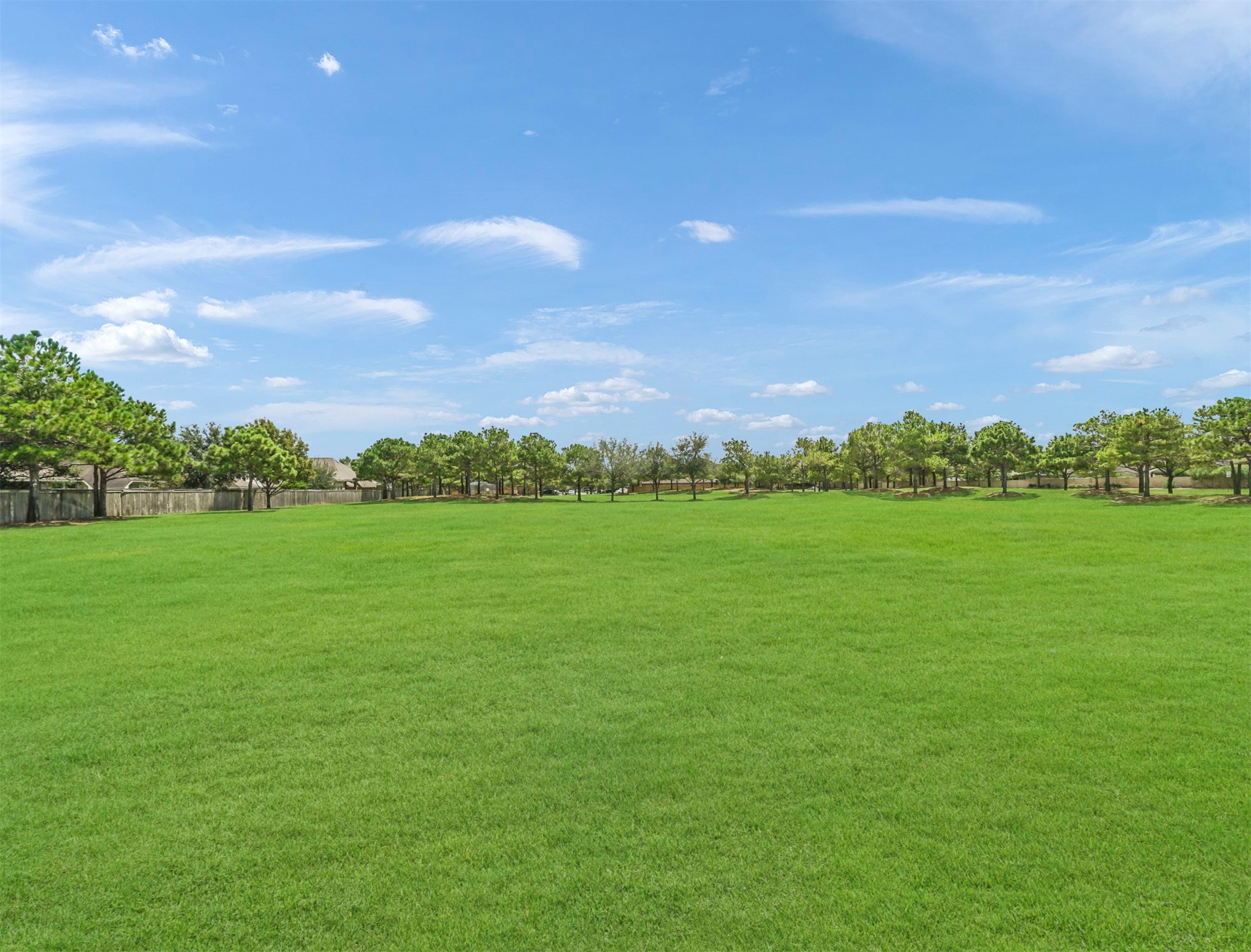 9915 Rochs Hill Court Katy, TX 77494 - Photo 27 of 32