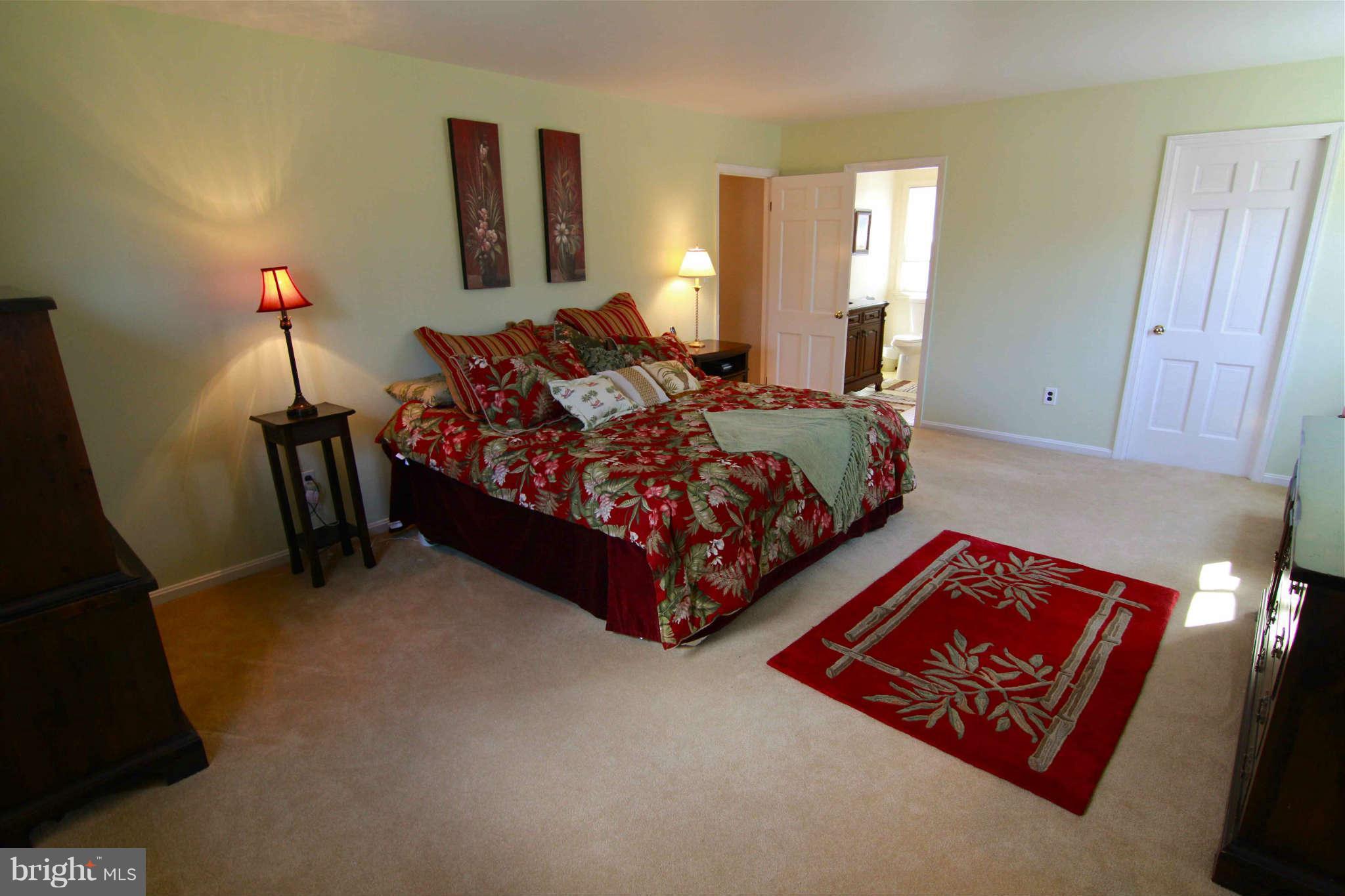 41357 Red Hill Road Leesburg, VA 20175 - Photo 13 of 27 Bedroom (Master)