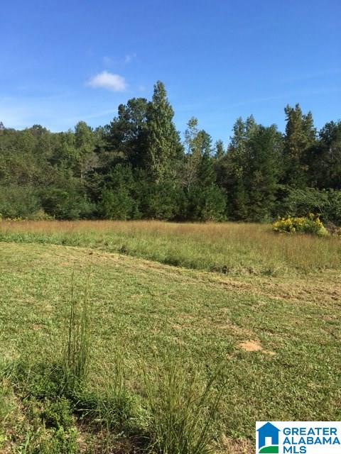 2932 County Road 82 Lineville, AL 36266 - Photo 11 of 16