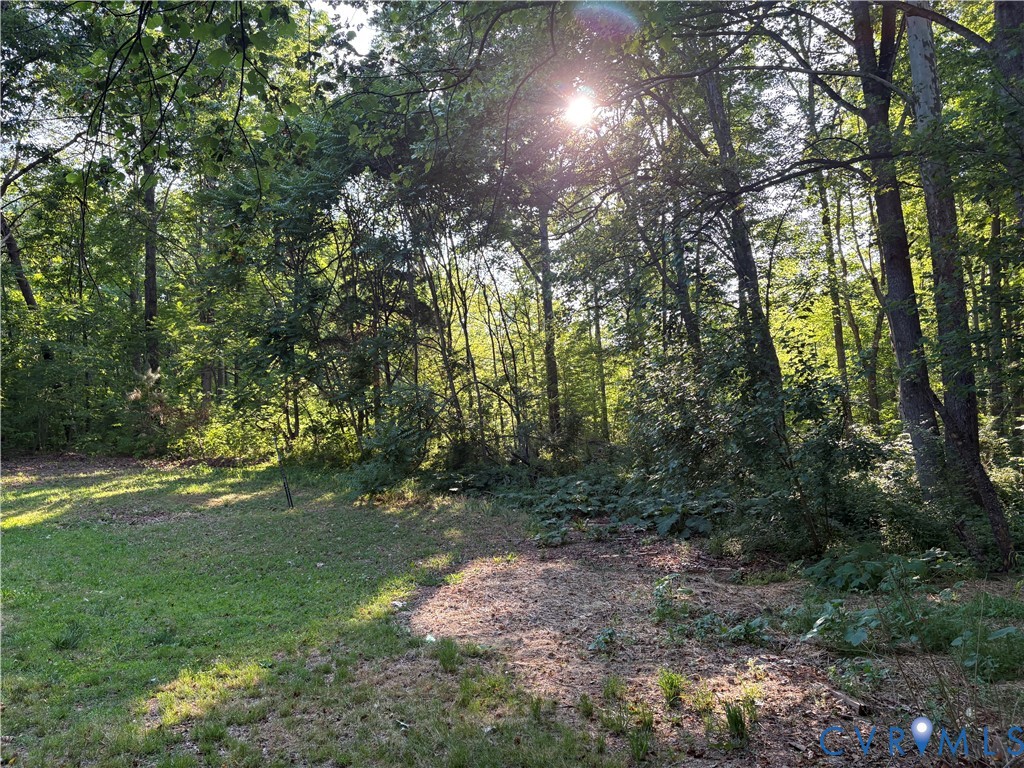 2797 Oakland Road Louisa, VA 23093 - Photo 2 of 5