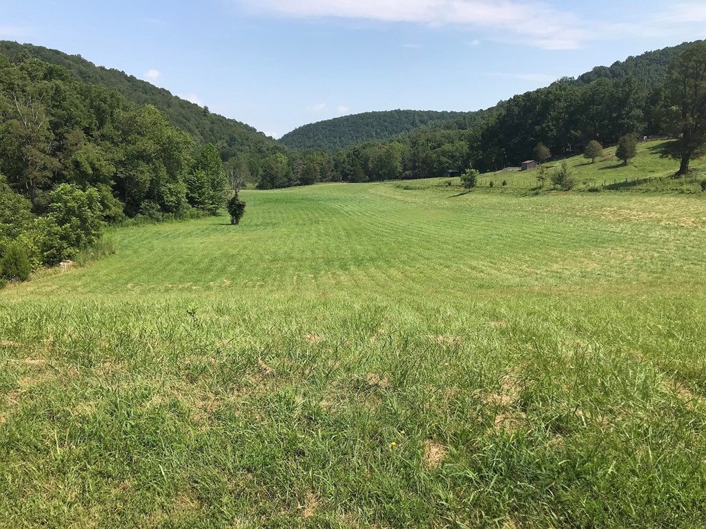 Tbd Collins Cv Road, Unit 1 Ivanhoe, VA 24350 - Photo 50 of 53 Gallery Image 50
