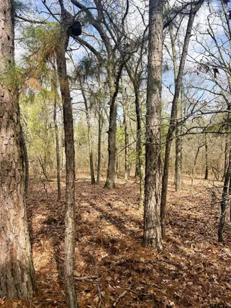 $245,000 | 0 Private Road 8000, Winnsboro, TX 75494